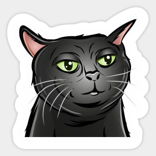 Tiktok Black Cat | Viral Cat | Black Cat Zoning Out | Cat Meme Sticker